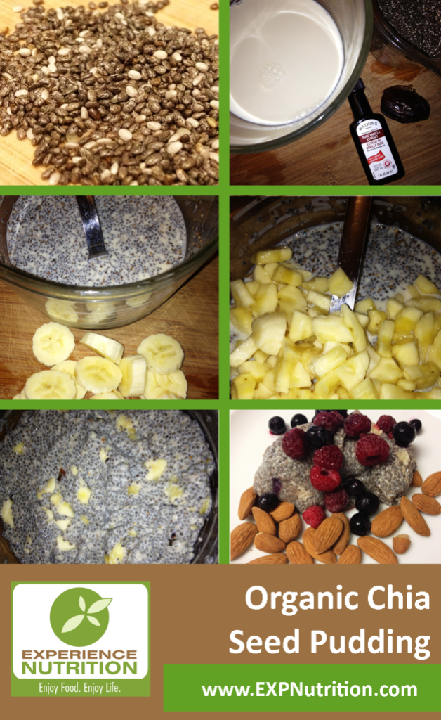 EXPERIENCE NUTRITION Organic Chia Seed Pudding