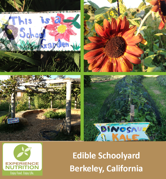 Edible Schoolyard Berkeley