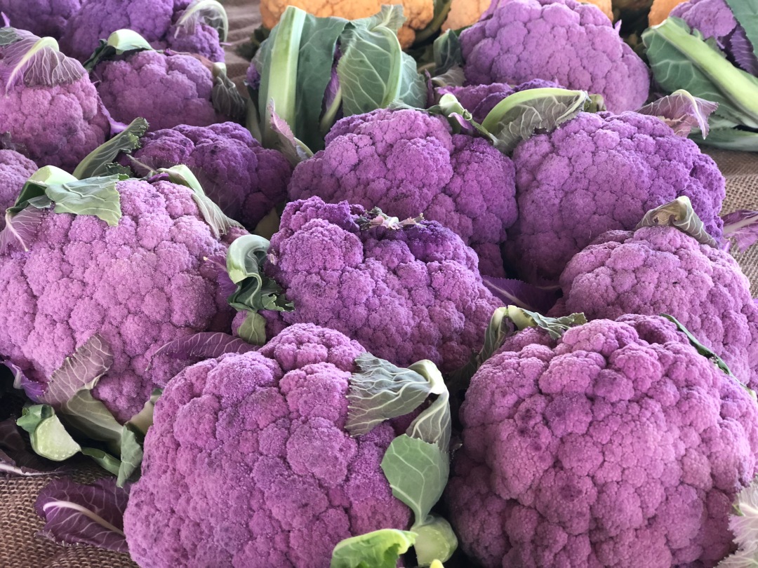 A-veg-purplecauliflower-BlueSky-IMG_4679
